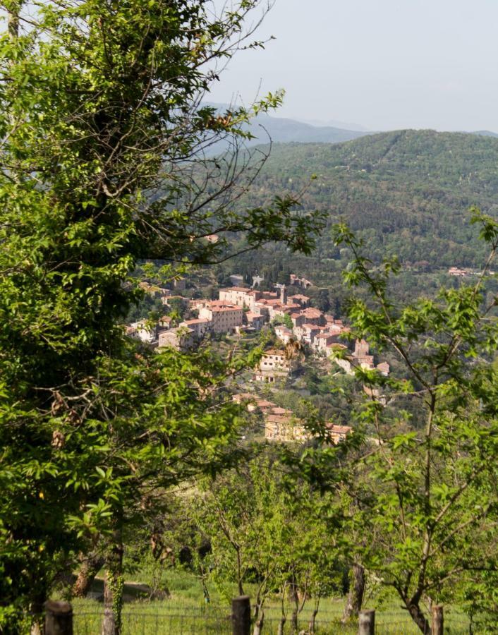 Апартаменты Le Dame Del Borgo Сассетта Экстерьер фото
